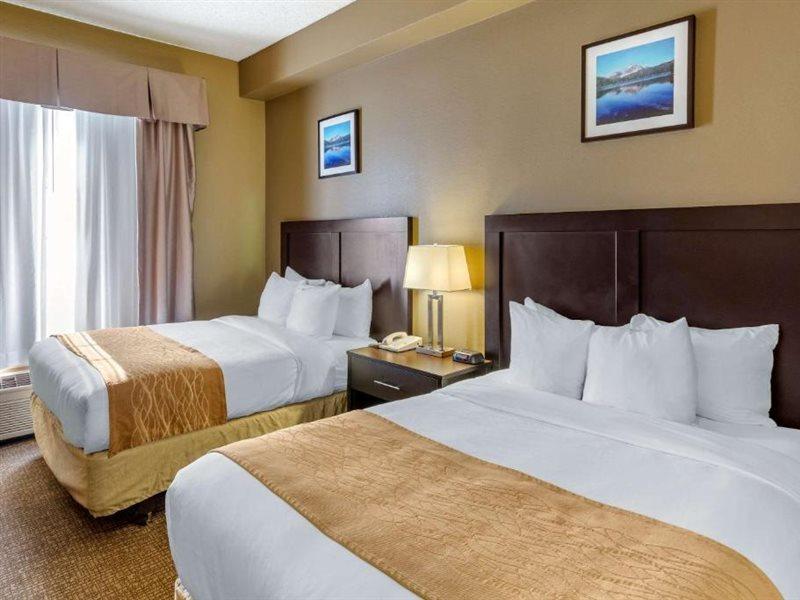 Comfort Inn Evanston I-80 Extérieur photo